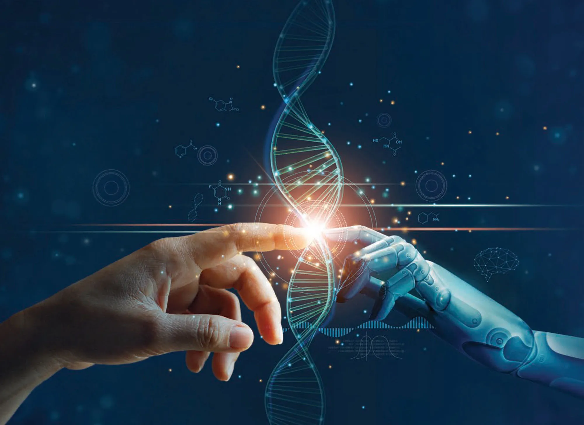 High-Level Networking & Partnership Development
